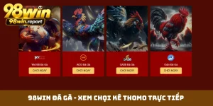 98WIN Đá Gà - Xem Chọi Kê Thomo Trực Tiếp Hôm Nay Cực Đã